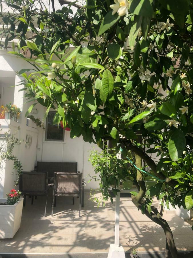 Apartments Mia Patria Ulcinj Ngoại thất bức ảnh