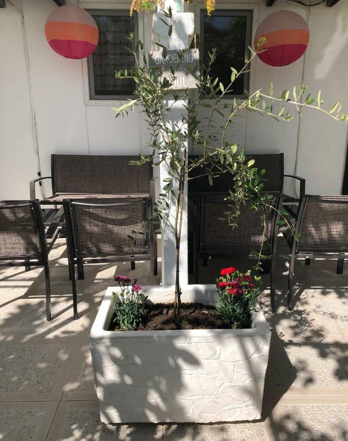 Apartments Mia Patria Ulcinj Ngoại thất bức ảnh