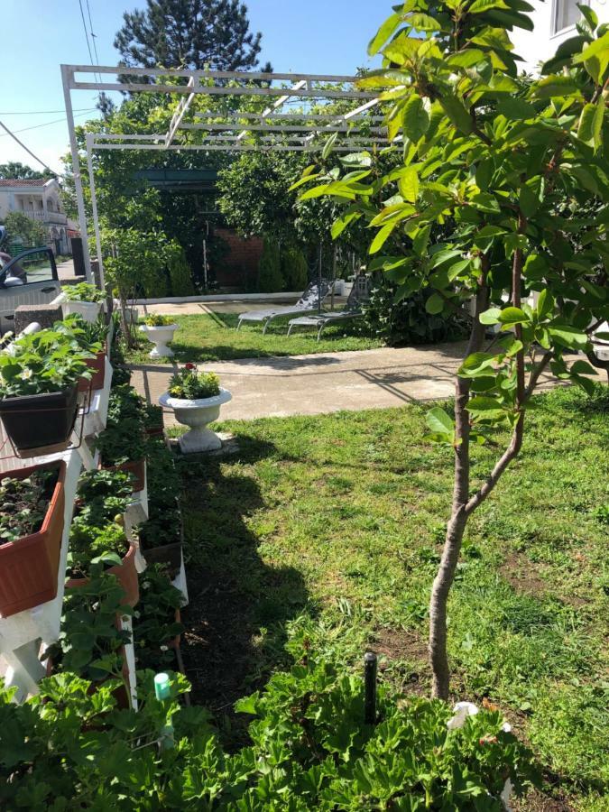 Apartments Mia Patria Ulcinj Ngoại thất bức ảnh